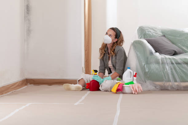 Reliable Mold Remediation contractor in Mount Juliet, TN by WQB Mold Removal